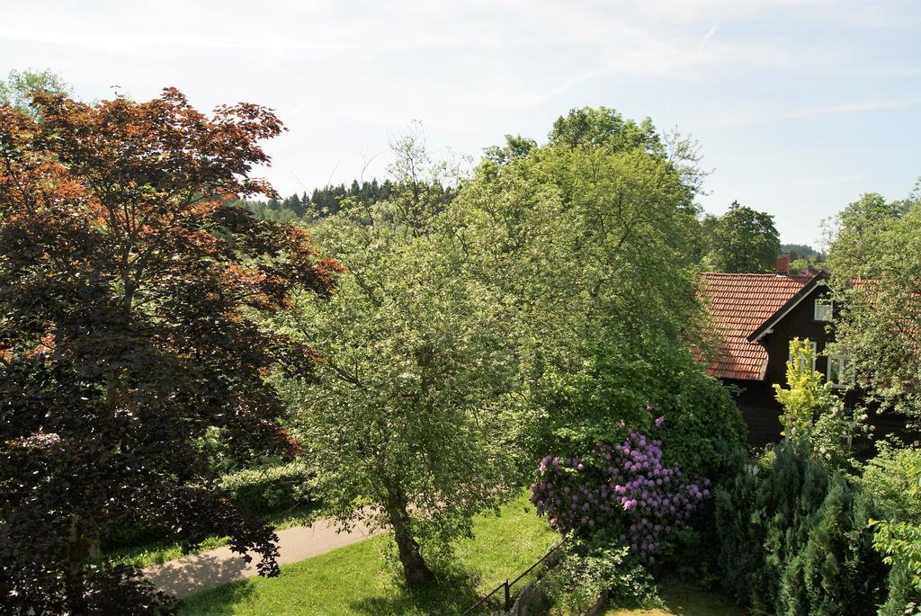Hotel Braunlage Εξωτερικό φωτογραφία